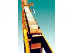 DS链斗式输送机